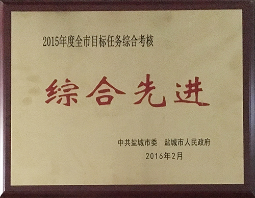 2016年2月全市目標任務綜合考核綜合先進.JPG
